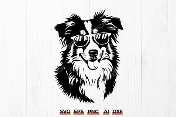 Australian Shepherd Dog with Sunglasses