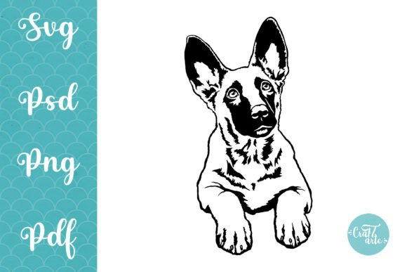 Belgian Malinois Svg Puppy