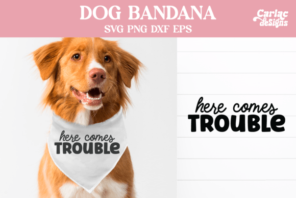 Embroidery Design Review: Dog Bandana SVG and Sublimation